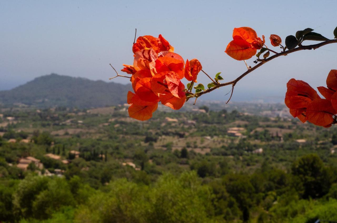 El Cel Villa Son Servera  Luaran gambar